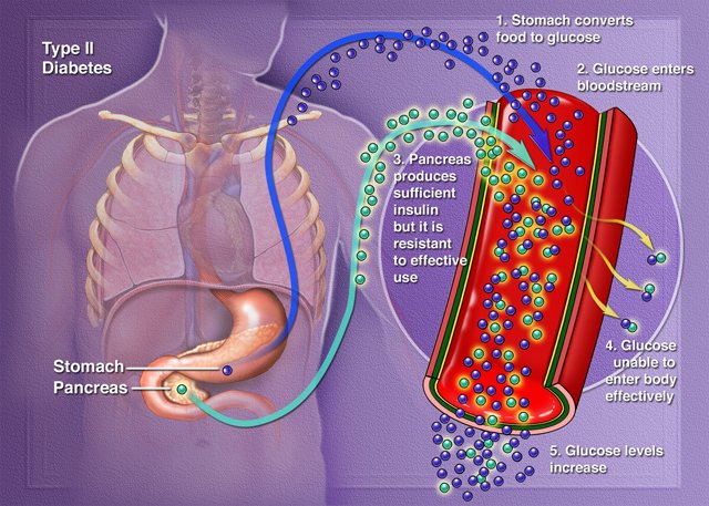 Pasto-de-trigo-contra-la-diabetes