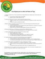 Guia Rapida para el Cultivo de Pasto de Trigo.