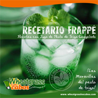 Recetario Frappe con Pasto de Trigo Congelado