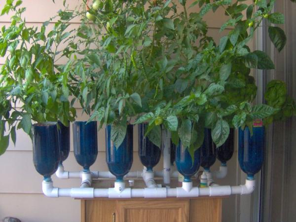 Sistema Hidroponico De Tomate