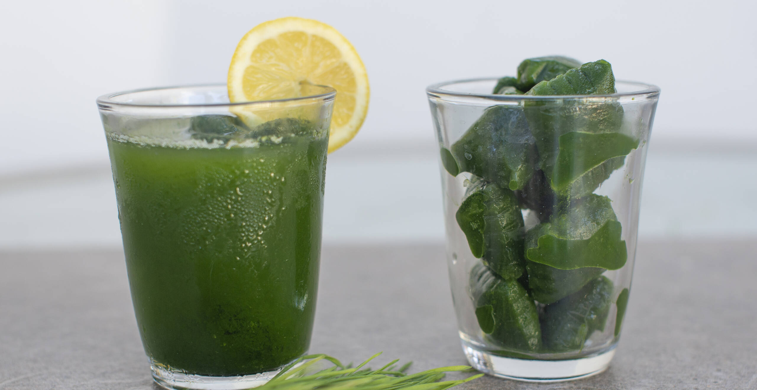 Jugo de Pasto de Trigo Congelado